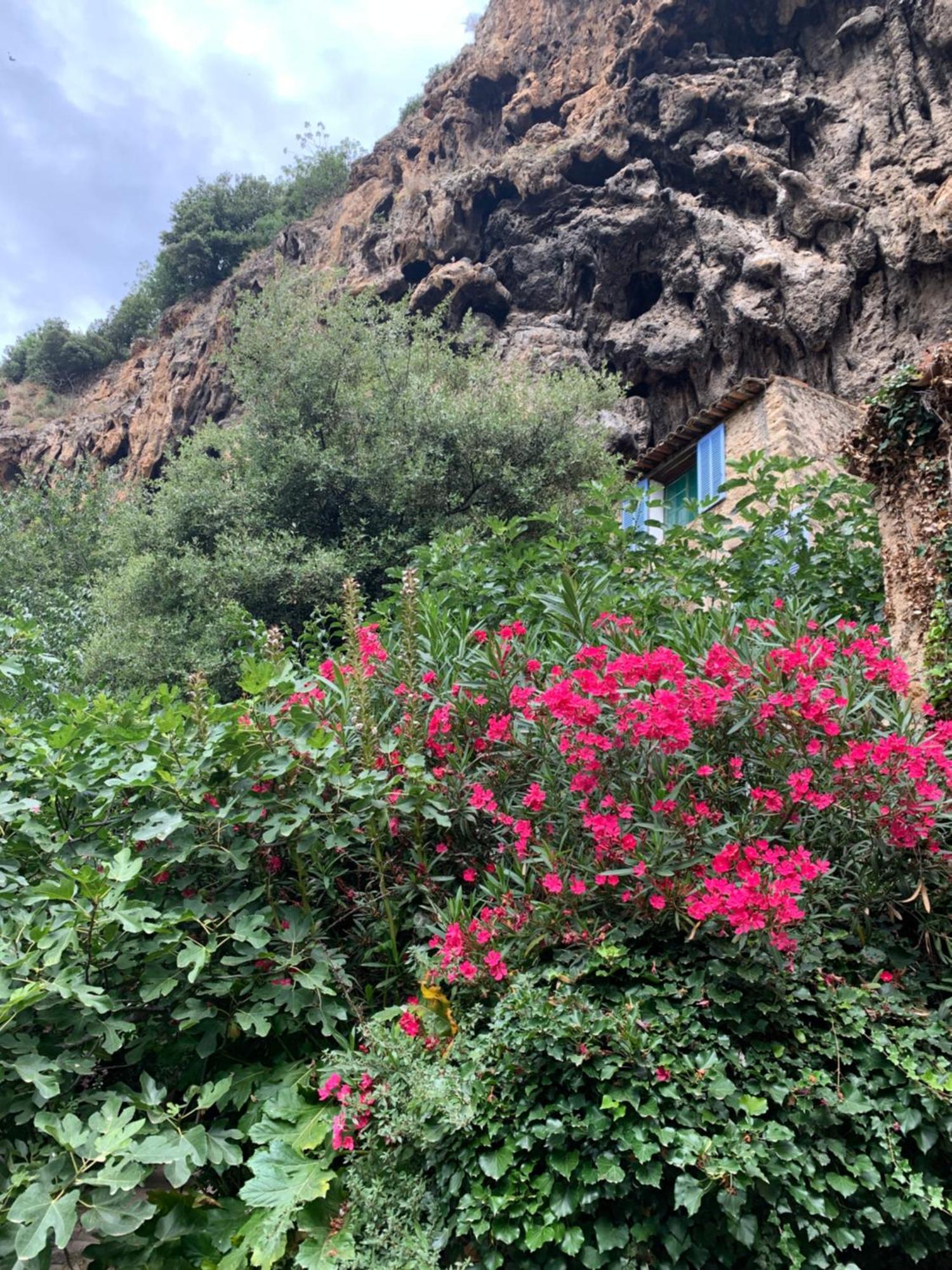 Tivoli En Provence Villa Cotignac Dış mekan fotoğraf