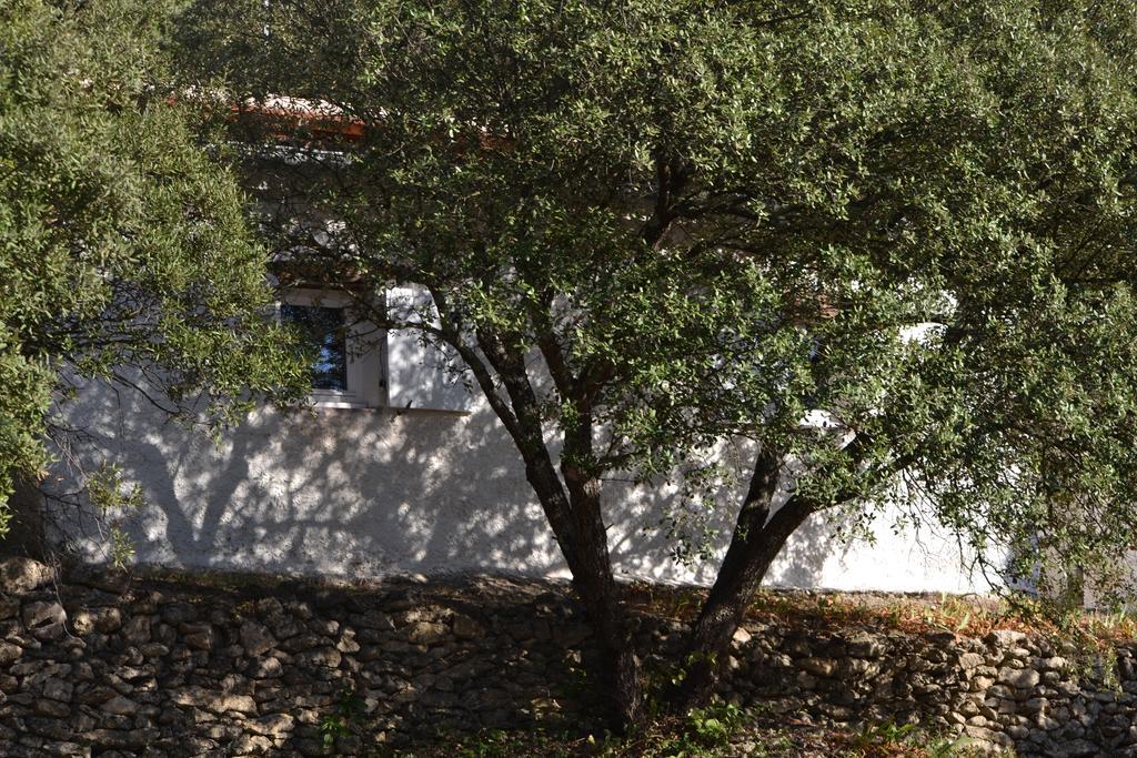 Tivoli En Provence Villa Cotignac Dış mekan fotoğraf